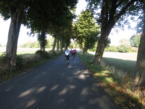 RTF Almabtrieb 158